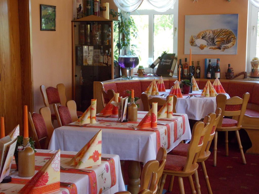 Landhotel Weisses Roess'L Adorf Kültér fotó